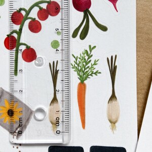 May include: A set of colorful stickers featuring various vegetables, including carrots, onions, and tomatoes. The stickers are arranged on a white background with a ruler measuring 6 cm.
