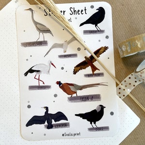 Sticker Singvögel | Aufkleber Bulletjournal | Journal Sticker | Sticker Natur & Vögel