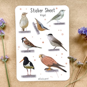 Sticker Singvögel | Aufkleber Bulletjournal | Journal Sticker | Sticker Natur & Vögel
