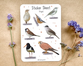 May include: A sticker sheet with illustrations of different birds. The sheet includes the names of the birds in German:  "Kleiner  Klepper", "Sperling", "Mönchsgrasmücke", "Grün  Rücksänger", "Turmfalke", "Austernfischer".