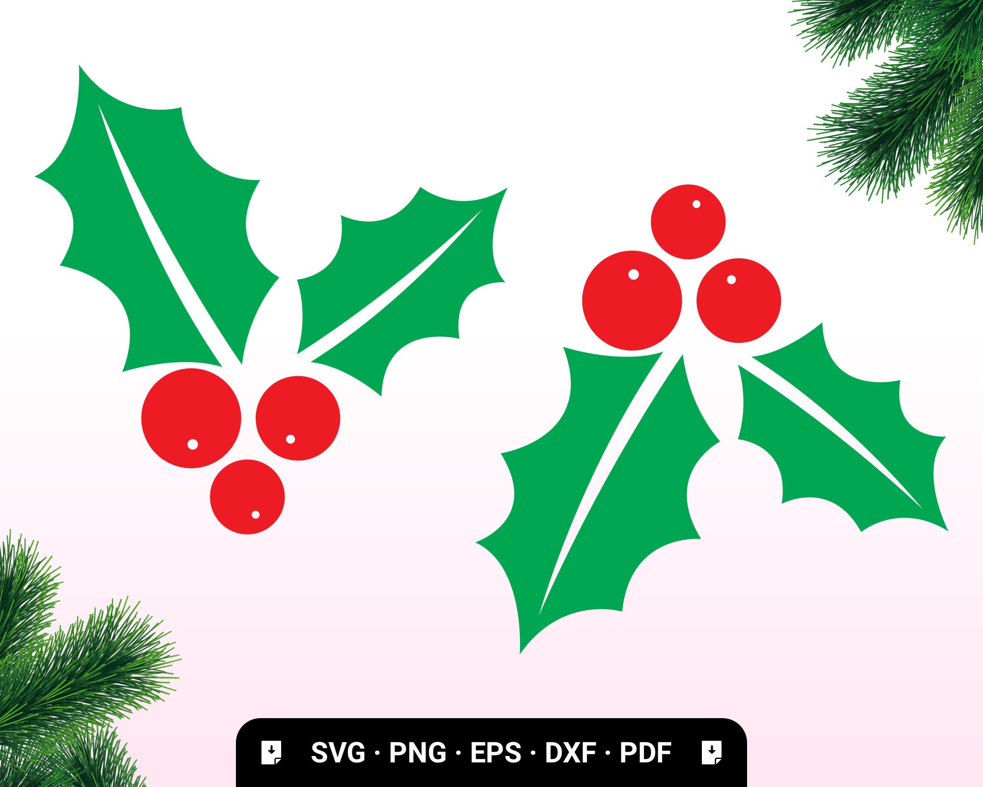 Christmas Holly SVG , Winter SVG, Holly Berry SVG , Christmas Svg