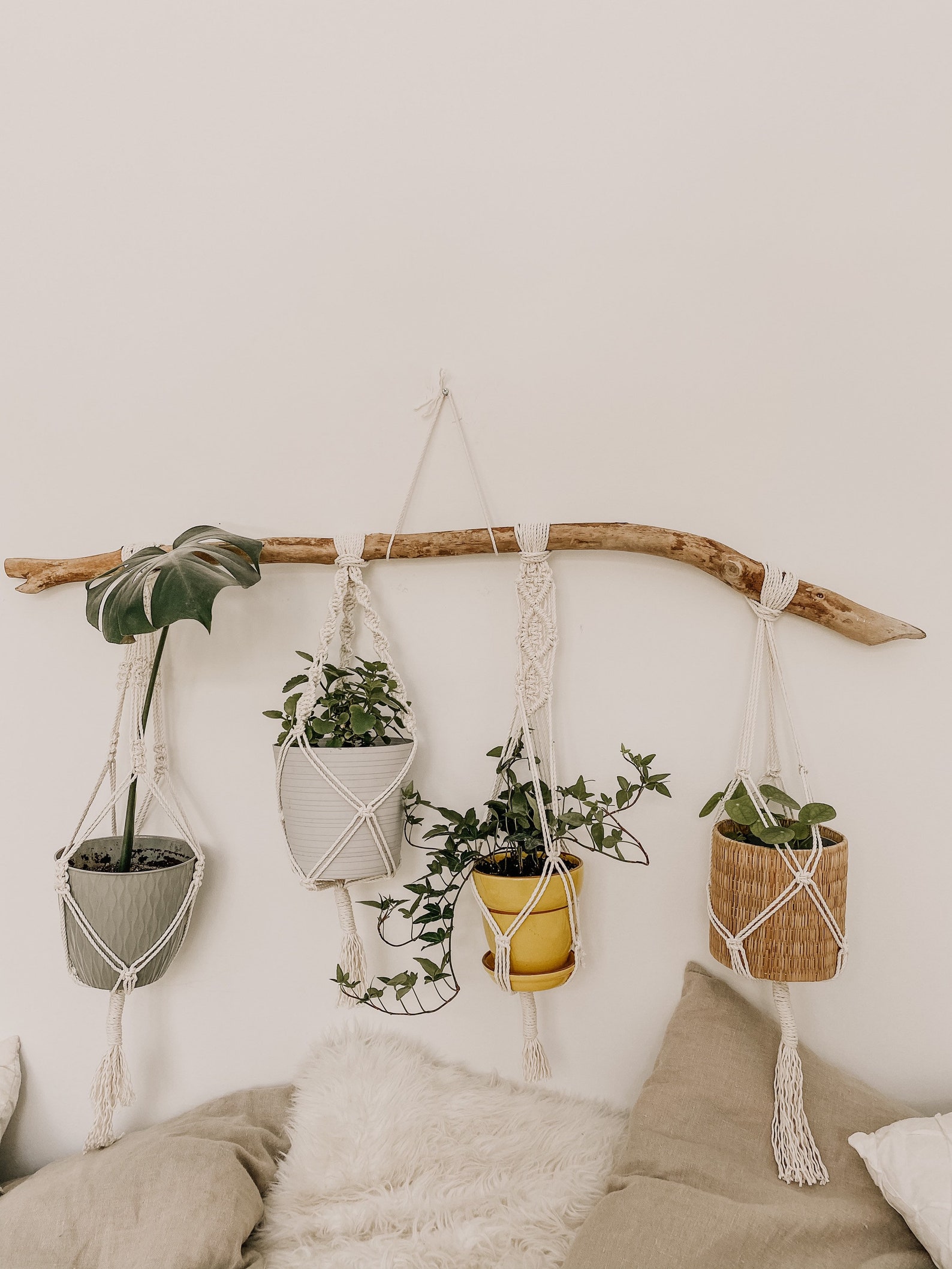 Driftwood Macrame Plant Hanger Etsy