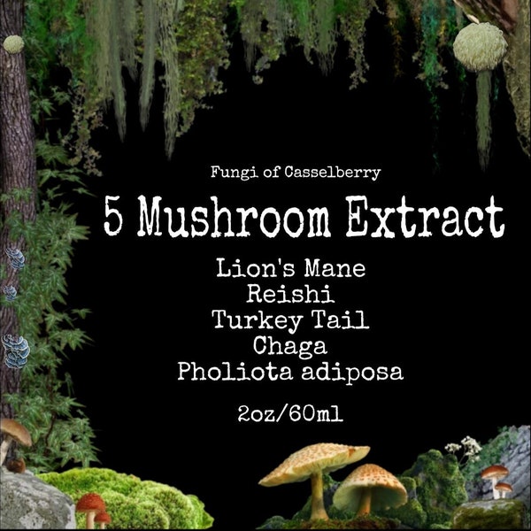 5 Mushroom Tincture Dual Extract Supplement Natural Healing Self Care Organic Lions Mane Reishi Chaga Turkey Tail Pholiota