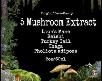 5-Mushroom Dual Extract Tincture - Lion's Mane, Reishi, Chaga, Turkey Tail, Pholiota - Florida Grown 2oz