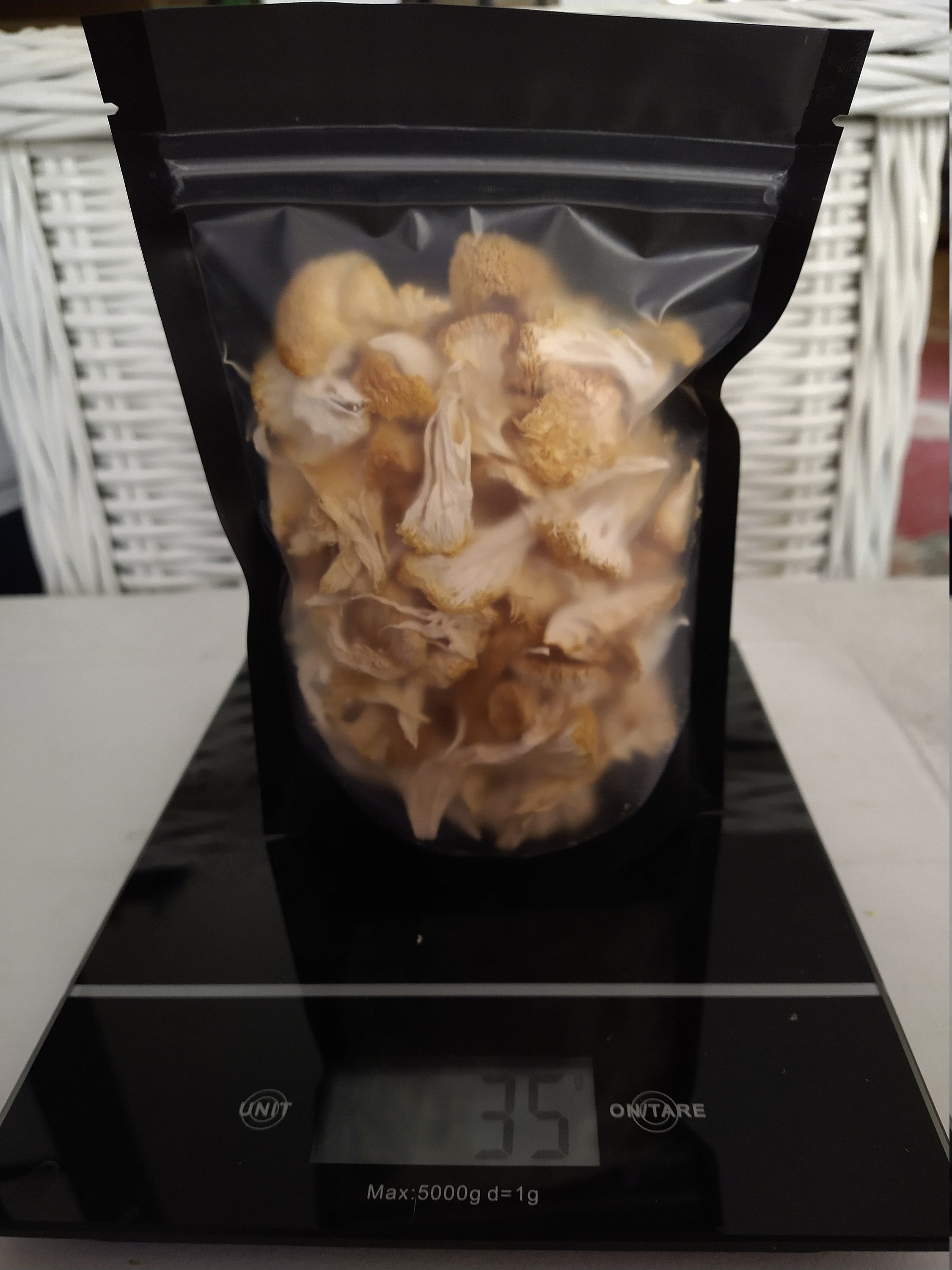 Freshly Dried Lions Mane Mushroom Natural Organic Vegan Etsy