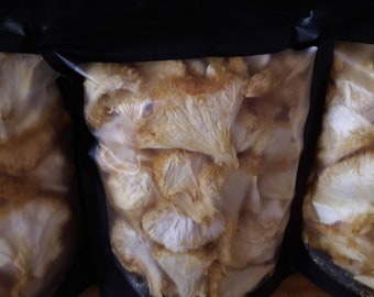 Freshly Dried Lions Mane Mushrooms  Natural Organic Vegan Self Care