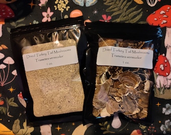Dried Turkey Tail Mushrooms