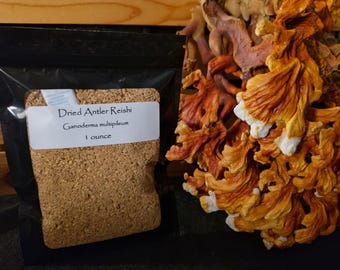 Dried Antler Reishi Mushroom, Ground, Organic, Self Care