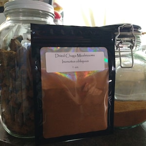 Cogumelos Chaga Frescos Secos