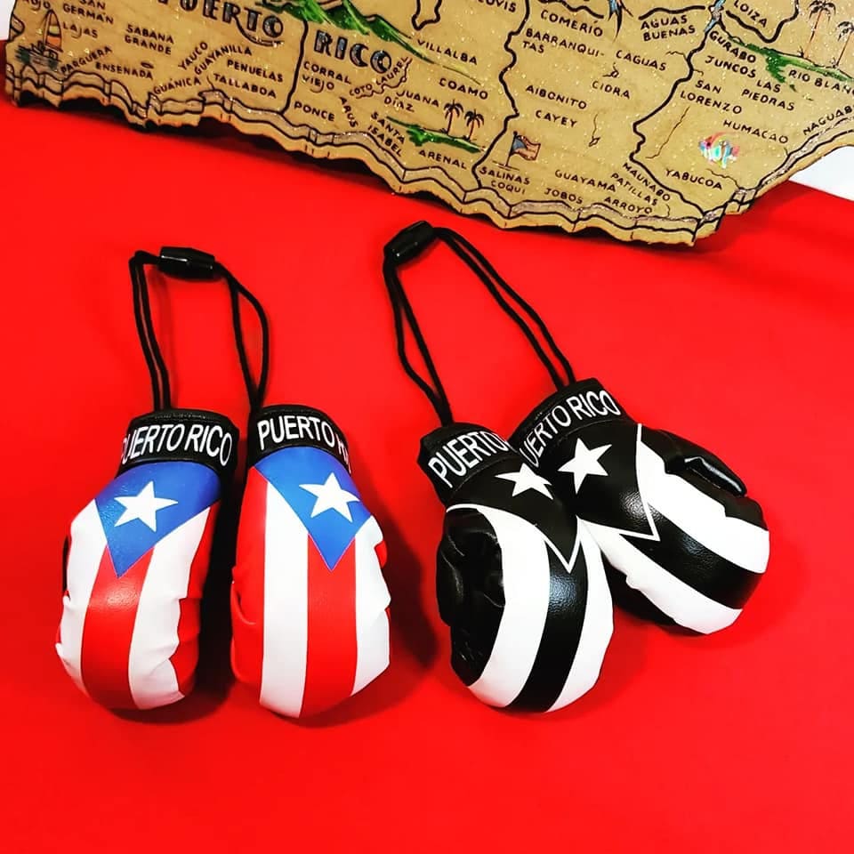 Puerto Rico Mini Boxing Gloves image