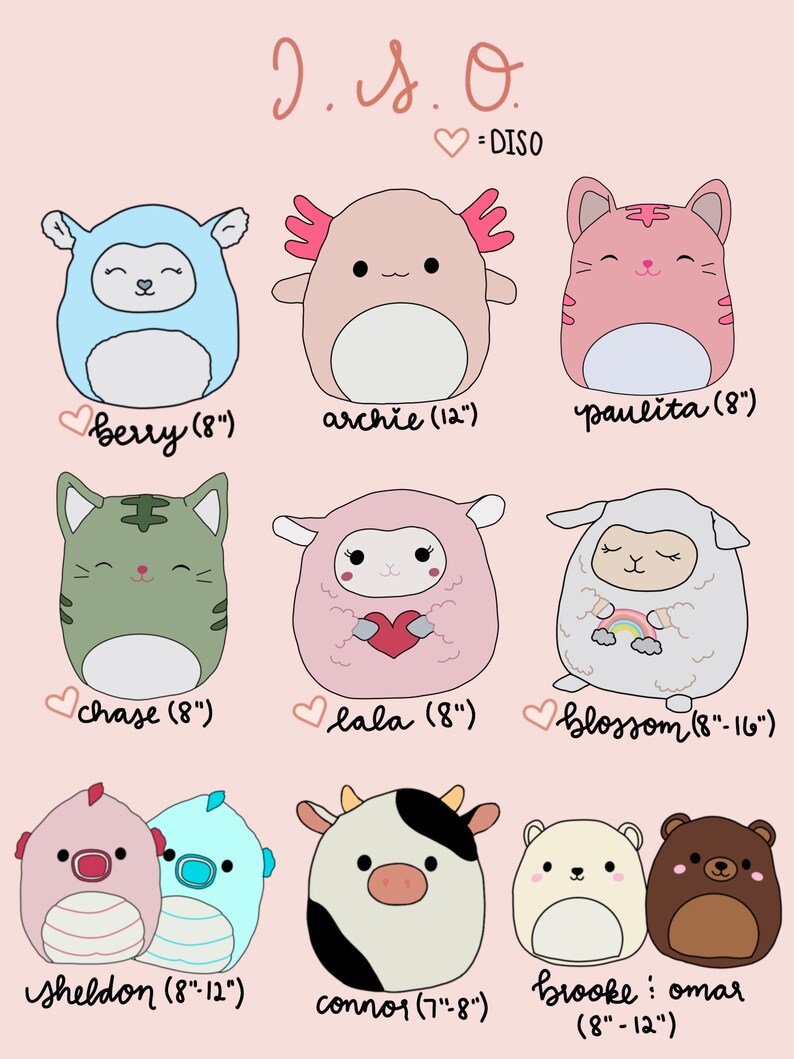 Squishmallow ISO List Custom Etsy
