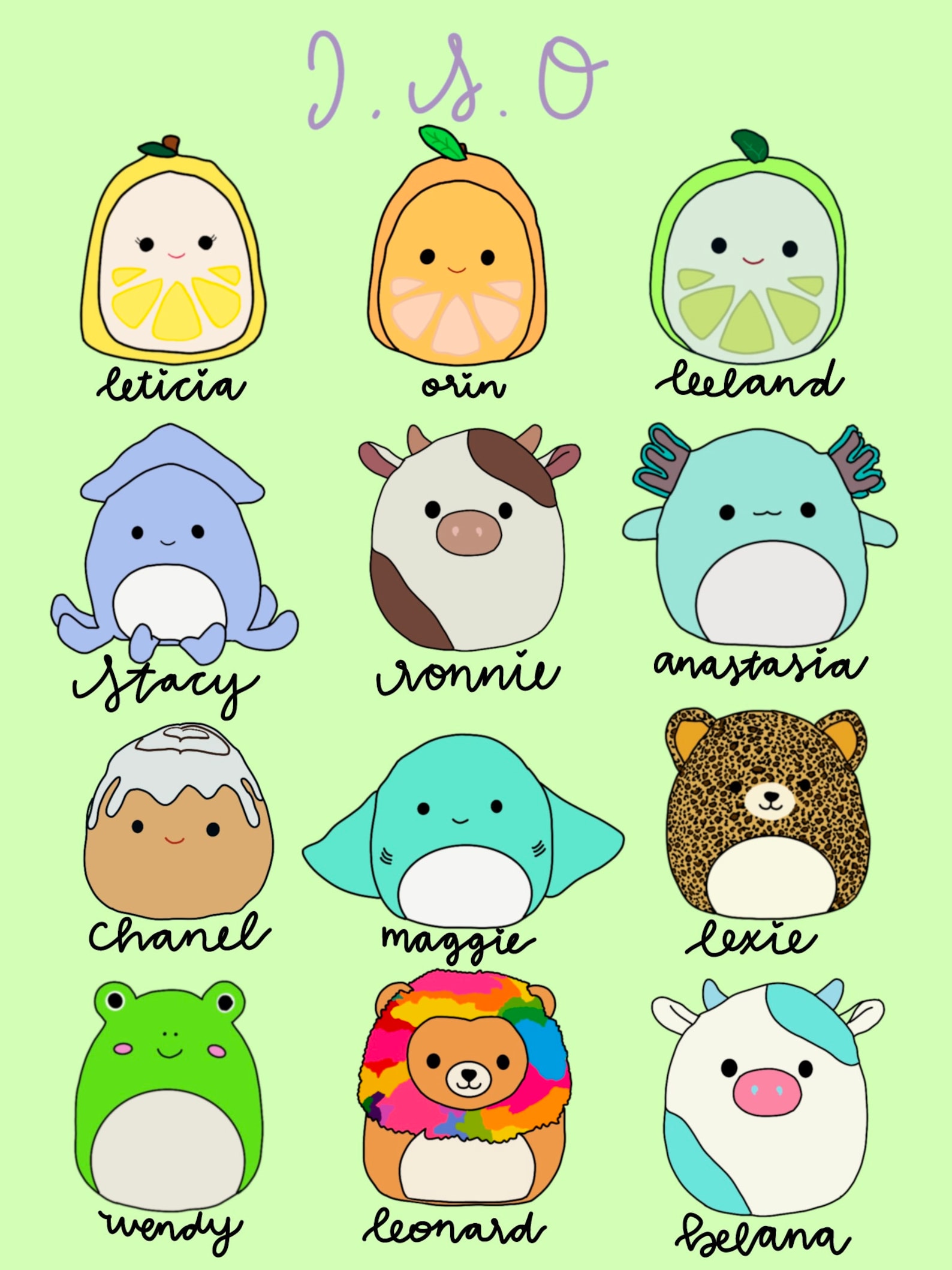 Squishmallow ISO List Custom Etsy