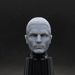 Starkiller - Galen Marek - Sam Witwer Head (1:12 Scale) Black Series
