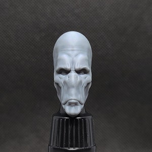 Darth Plagueis The Wise Head (1:12 Scale) Black Series