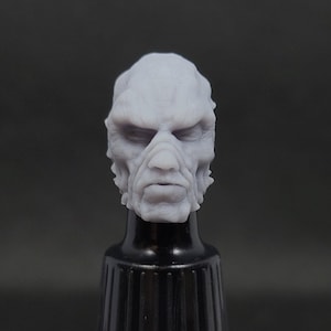 Weequay Male Head (1:12 Scale) Black Series