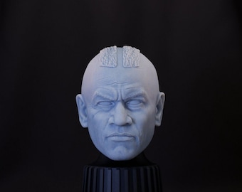 Tête Commander Gree (échelle 1:12) série noire