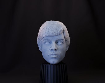 Luke Skywalker Mandalorian Head (1:12 Scale) Black Series