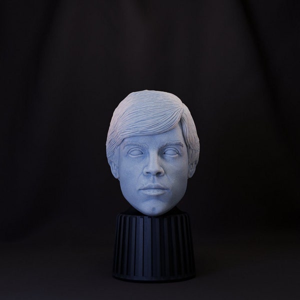 Luke Skywalker Mandalorian Head (1:12 Scale) Black Series