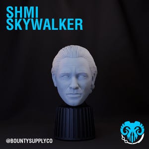 Shmi Skywalker Head (1:12 Scale) Black Series