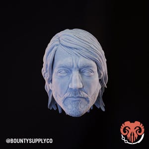 Cassian Andor Head (1:12 Scale) Black Series