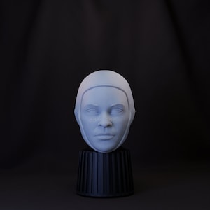 Barriss Offee Head (1:12 Scale) Black Series