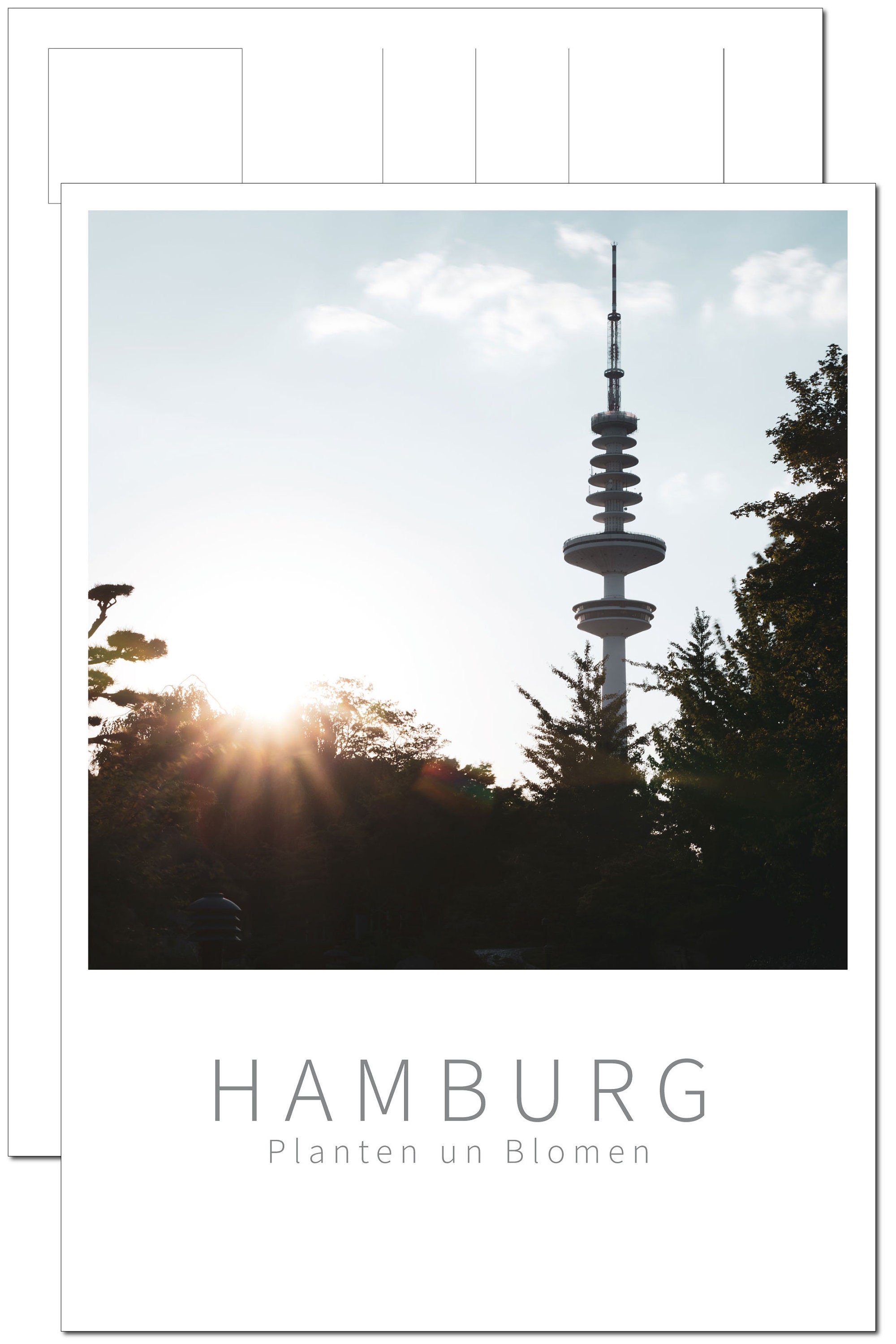 Hamburg Postcard: Planten Un Blomen With TV Tower - Etsy