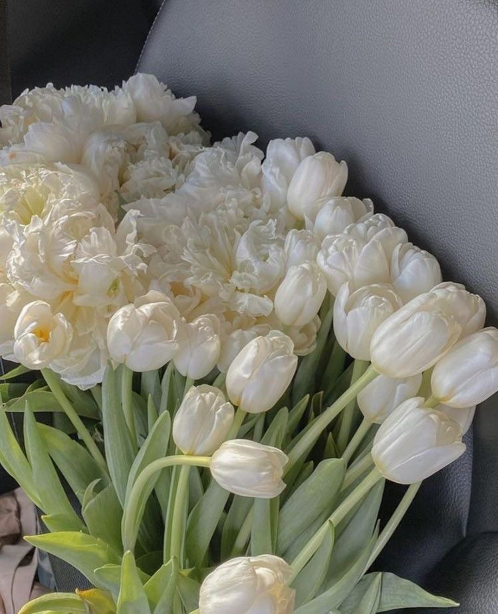 25 Sage Green Aesthetic Prints set 2 Etsy