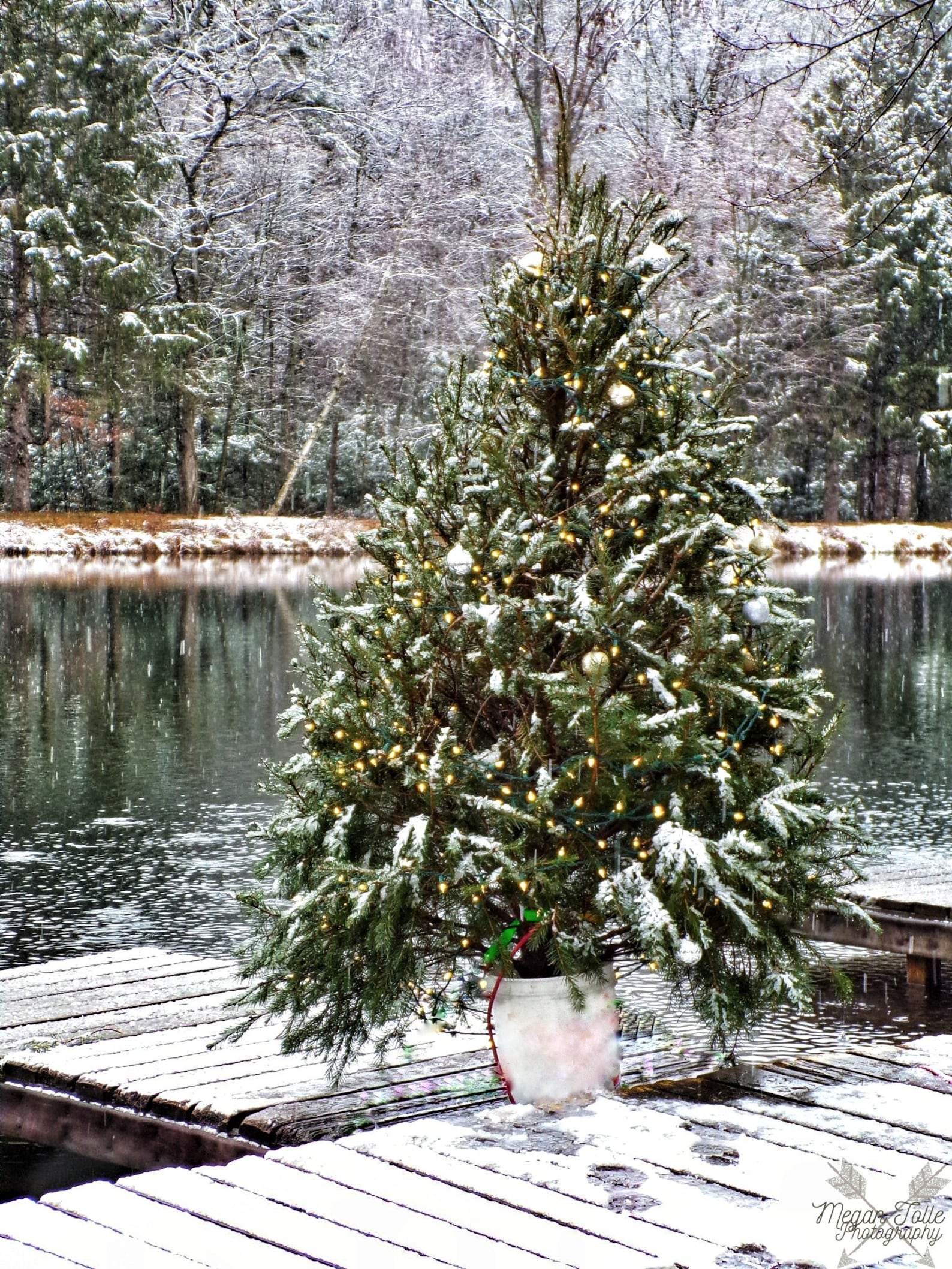 Merry Christmas at the Lake Etsy
