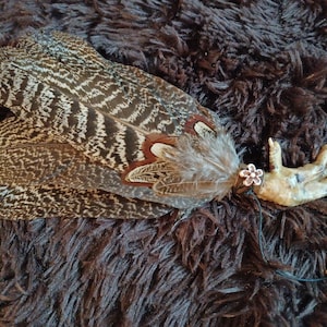 Peahen Feather Smudge Fan with Chicken Foot