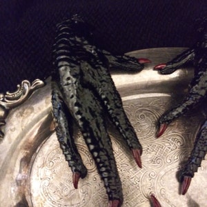 Hoodoo Black Chicken Foot