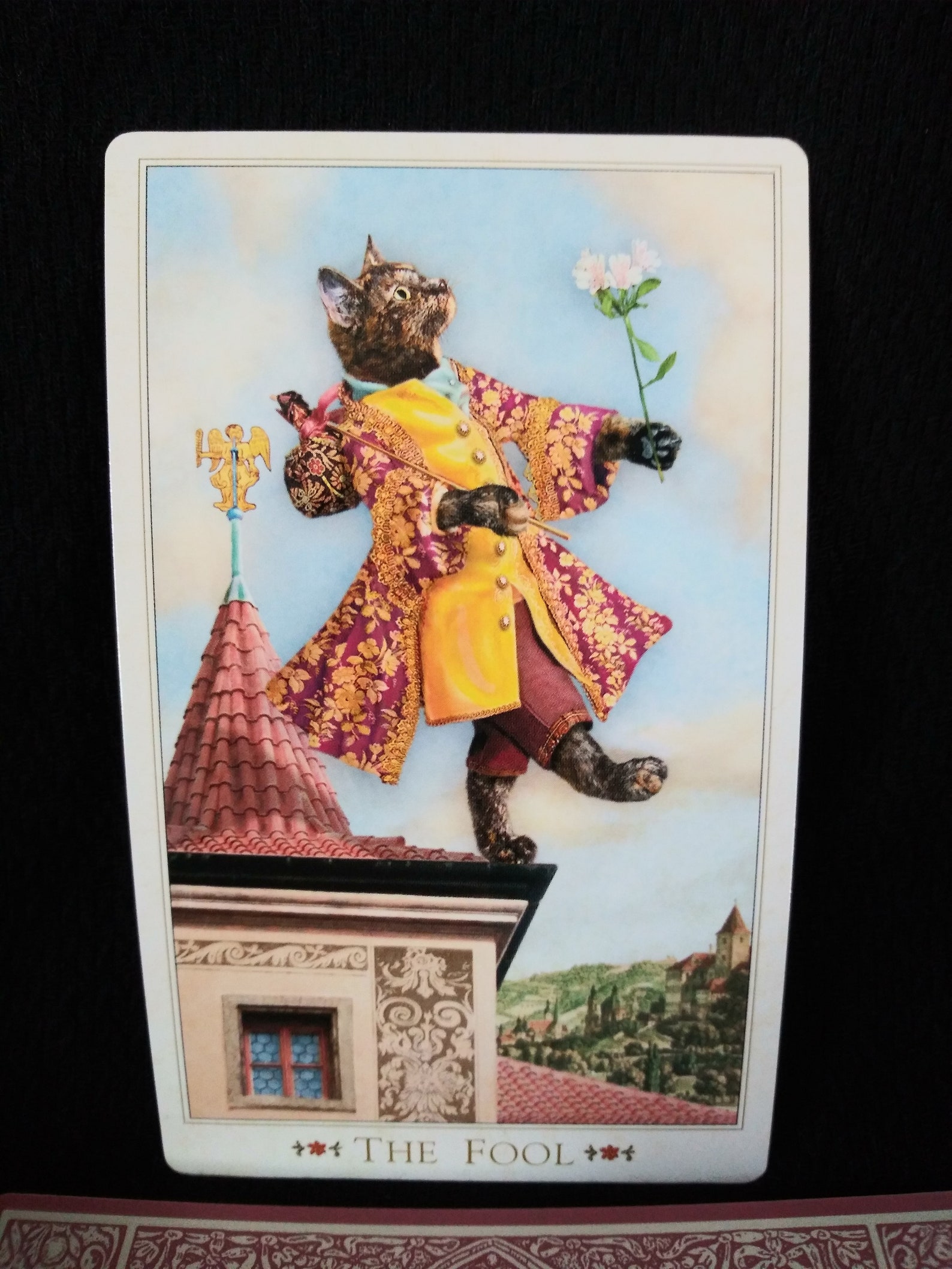 The Baroque Bohemian Cats' Tarot by Alex Ukolov and Karen Etsy UK