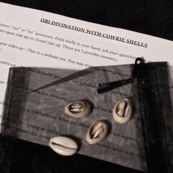 Obi Divination with 4 Cowrie Shells and Instructions