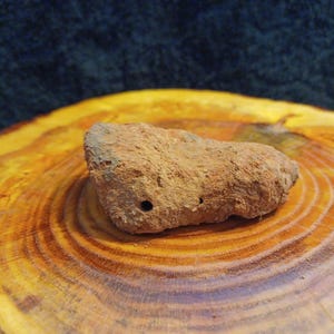 Mud Wasp / Dirt Dauber Nest ~ 3&quot;