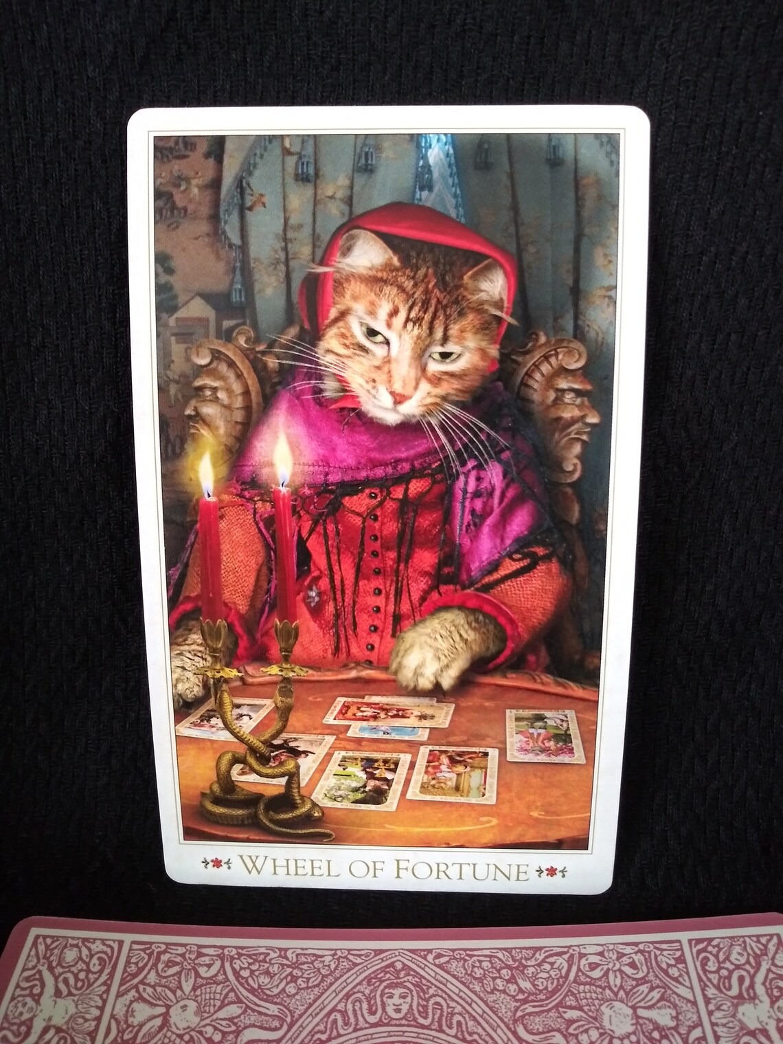 The Baroque Bohemian Cats' Tarot by Alex Ukolov and Karen Etsy
