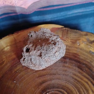 Mud Wasp / Dirt Dauber Nest ~ 2.5&quot;