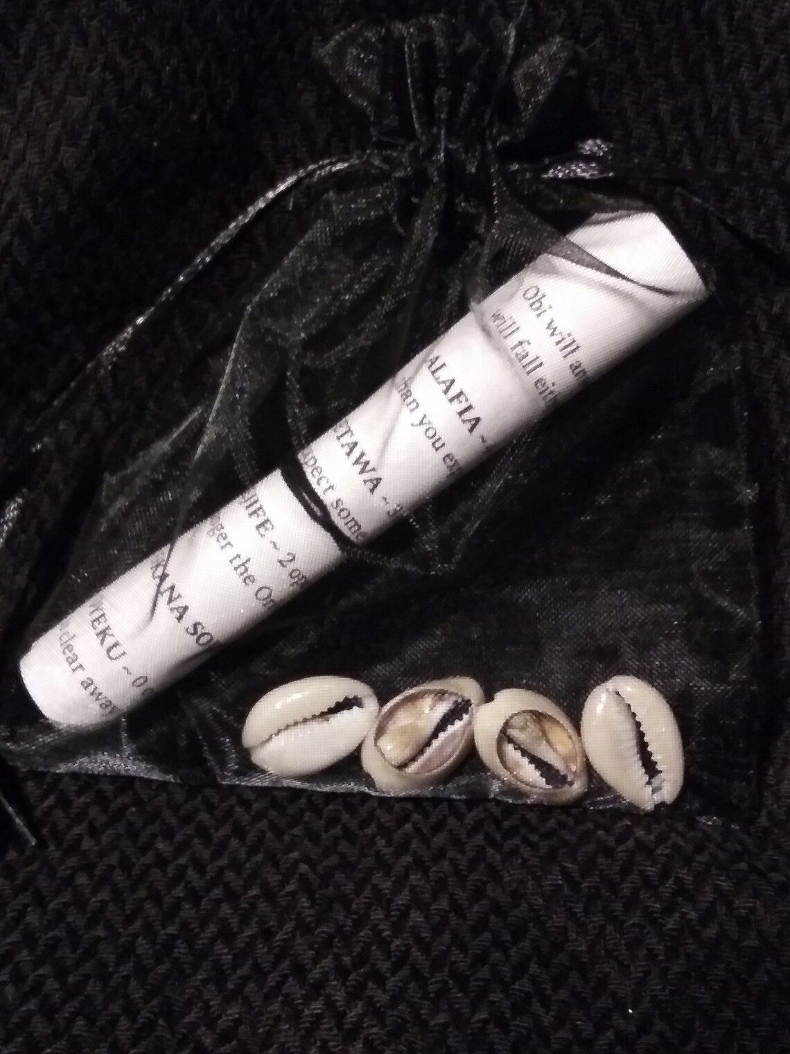 Obi Divination With 4 Cowrie Shells and Instructions Etsy