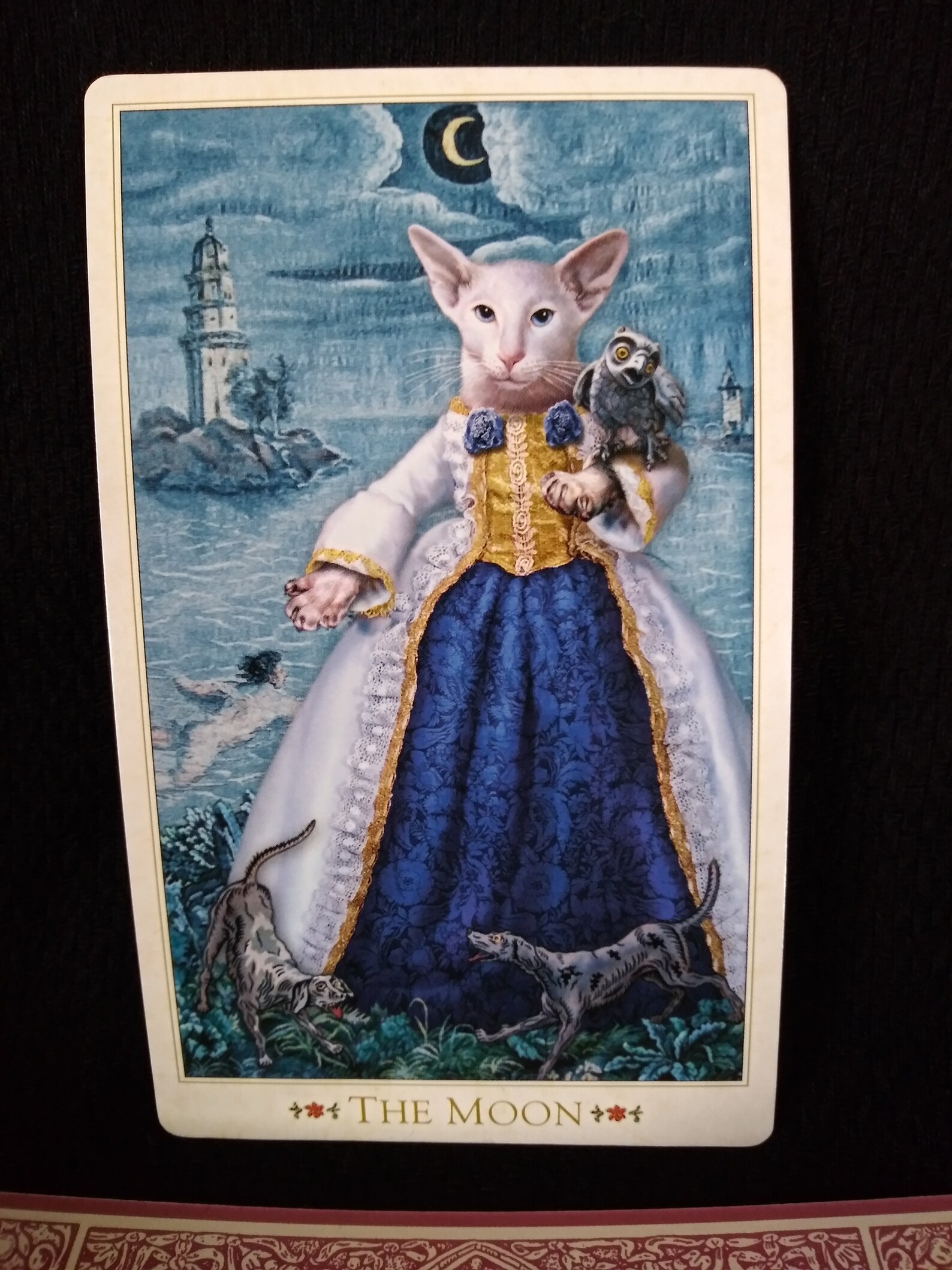 The Baroque Bohemian Cats' Tarot by Alex Ukolov and Karen Etsy
