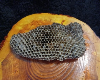 May include: A close-up of a honeycomb, a natural structure made by bees, with a light brown colour and a hexagonal pattern. The honeycomb is on a wooden surface.