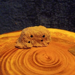 Mud Wasp / Dirt Dauber Nest ~ 2&quot;