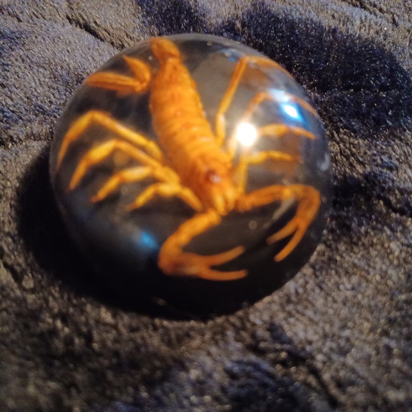 Golden Scorpion in Resin Dome