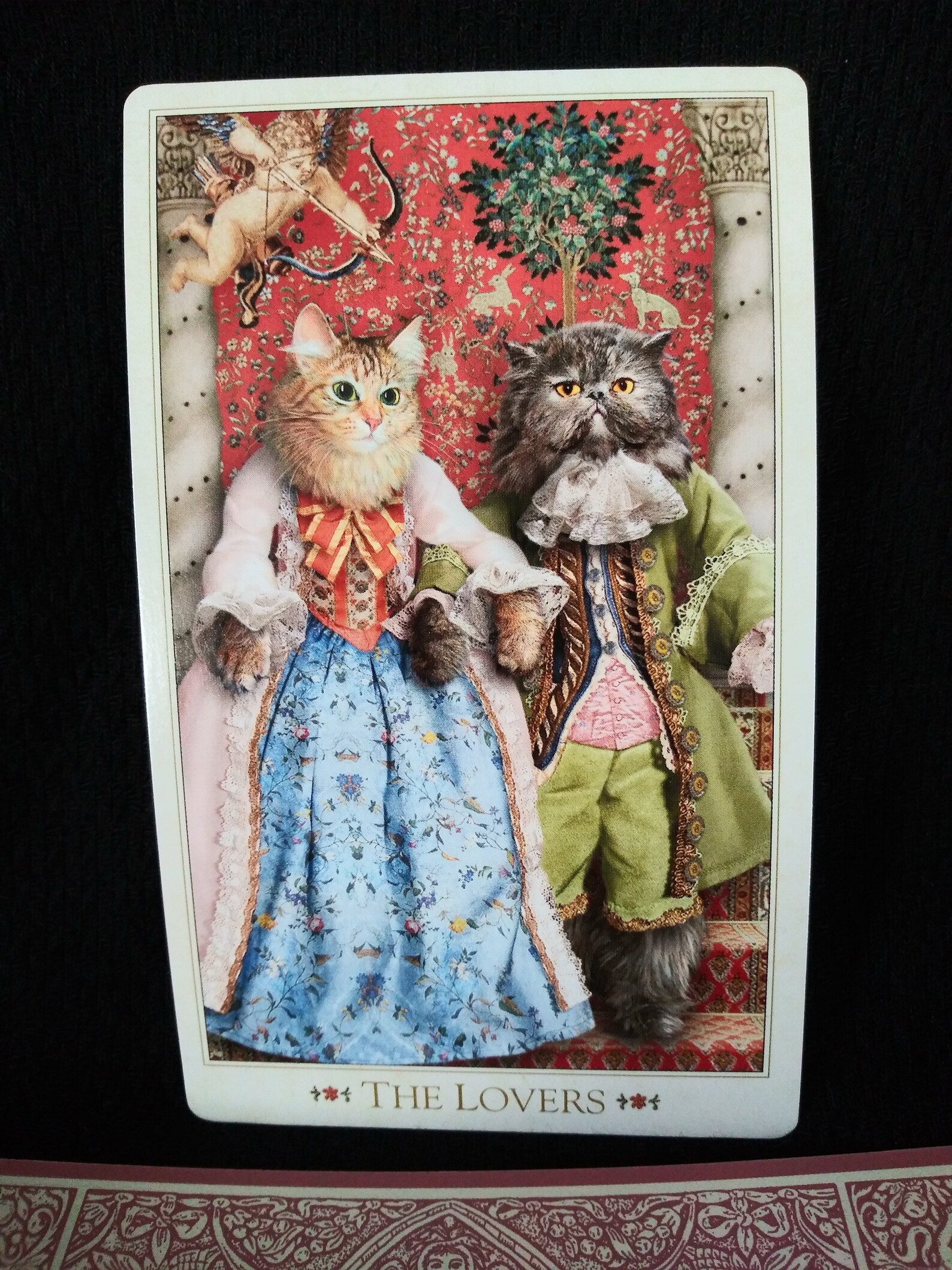 The Baroque Bohemian Cats' Tarot by Alex Ukolov and Karen Etsy