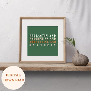 Birth Hormones Digital Download