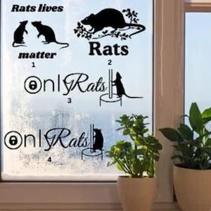Funny Rats- Vinyl Decals stickers for Car, Laptops, Windows, Phone cases, Decor