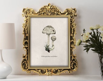 Green-gilled Lepiota mushroom print