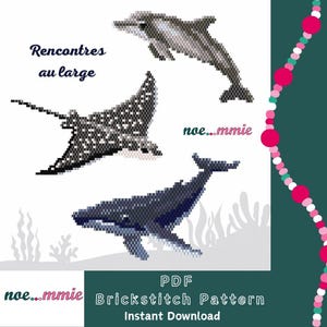 Può includere: Un motivo a punto mattone in pixel art con un delfino grigio, una aquila di mare maculata bianca e nera e una balena blu scuro. Il testo recita Rencontres au large, noe...mmie e PDF Brickstitch Pattern Instant Download.