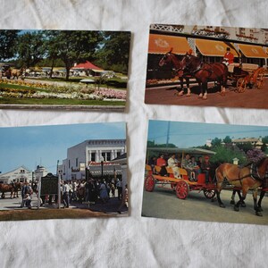 Cartes postales souvenirs des années 1950, 1960, inutilisées, 2 jeux de couleurs, attractions pittoresques de l'île du Michigan et de Mackinac, hôtel, chevaux, nature
