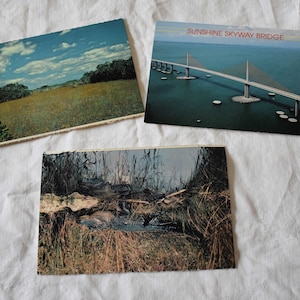 Jeu de 3 cartes postales vintage inutilisées représentant le Florida Sunshine State Skyway Bridge et la vie sauvage du parc des Everglades