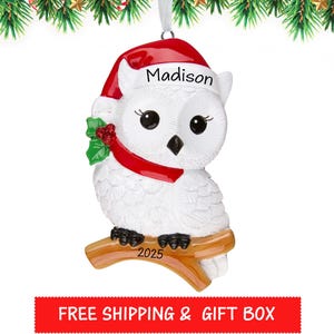 Personalized Owl Ornament 2025, Owl Christmas Ornament, Owl Ornament for Christmas Tree, Owl Xmas Ornament, Custom Gift For Toddler, Kids