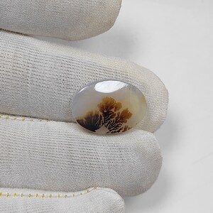 Natural Picture Dendritic Scenic Agate Cabochon, Oval Shape, 13x18 mm, 4.60Cts. Genuine Dendritic Scenic Agate Gemstone Loose #SKA1262