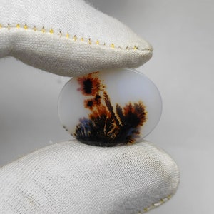 Genuine Dendritic Scenic Agate Cabochon, Oval Shape, 19x23 mm, 9.35Cts. Natural Dendritic Scenic Agate Gemstone Loose #SKA1256